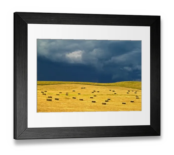 Framed Print : Canada, Manitoba, Holland. Square bales in field and storm clouds Framed Print : Canada, Manitoba, Holland. Square bales in field and storm clouds