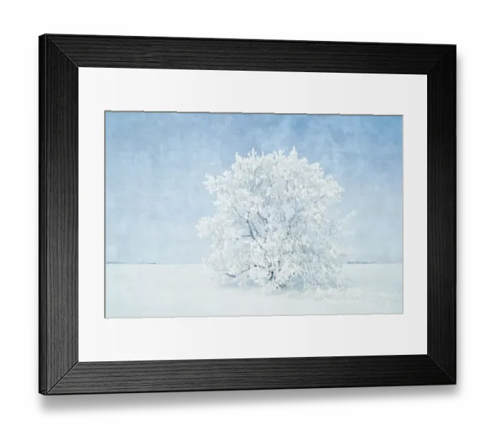 Framed Print : Canada, Manitoba. Snow-covered tree. Credit as: Mike Grandmaison / Jaynes Gallery / DanitaDelimont Framed Print : Canada, Manitoba. Snow-covered tree. Credit as: Mike Grandmaison / Jaynes Gallery / DanitaDelimont