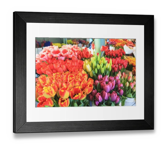 Framed Print : Flowers for sale at Pike Place Market in late spring, Seattle, Washington State, USA Framed Print : Flowers for sale at Pike Place Market in late spring, Seattle, Washington State, USA