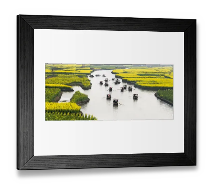 Framed Print : Rowing boat on river through Thousand-Islet canola flower fields, Xinghua, Jiangsu Province Framed Print : Rowing boat on river through Thousand-Islet canola flower fields, Xinghua, Jiangsu Province