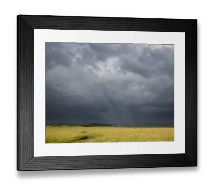Framed Print : Africa, Kenya, Msai Mara National Reserve. Storm clouds over savannah at sunset Framed Print : Africa, Kenya, Msai Mara National Reserve. Storm clouds over savannah at sunset