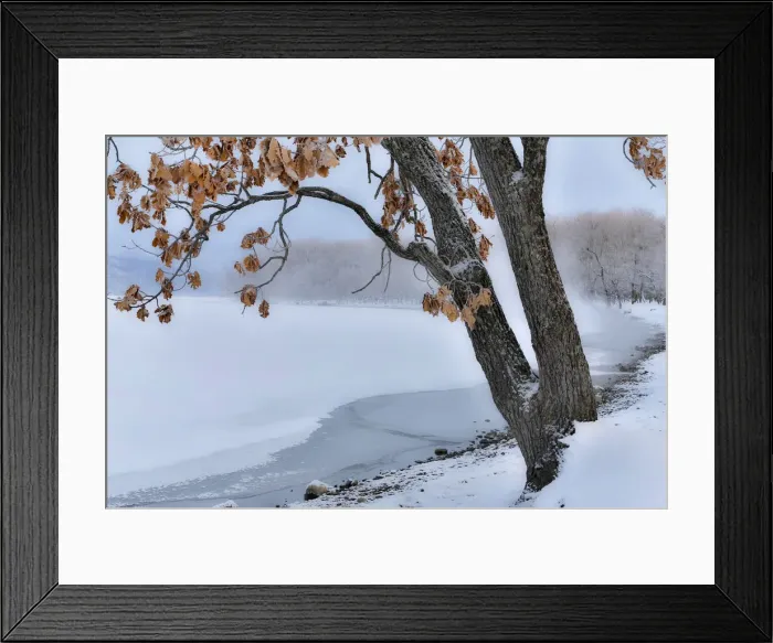 Framed Print : Trees along the frozen Lake Kussharo in winter with mist rising Framed Print : Trees along the frozen Lake Kussharo in winter with mist rising
