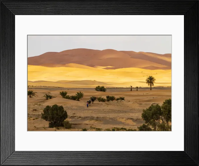 Framed Print : Erg Chebbi, Sahara Desert, Morocco. Camel trek on the Sahara Desert Framed Print : Erg Chebbi, Sahara Desert, Morocco. Camel trek on the Sahara Desert