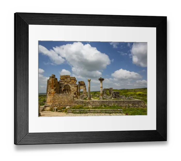 Framed Print : Volubilis, Morocco. Ancient Roman basilica ruins and a Marabou Stork Framed Print : Volubilis, Morocco. Ancient Roman basilica ruins and a Marabou Stork