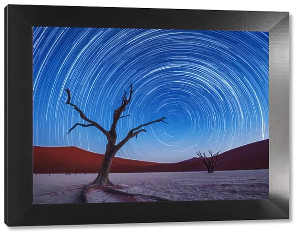 Africa, Namibia, Deadvlei. Dead tree sand dunes and star trails