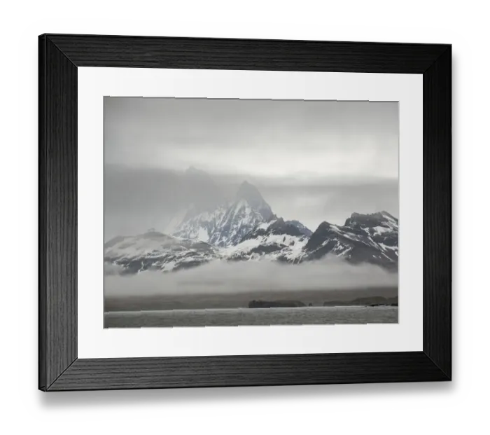 Framed Print : Bay of Isles with Salisbury Plain on South Georgia Framed Print : Bay of Isles with Salisbury Plain on South Georgia