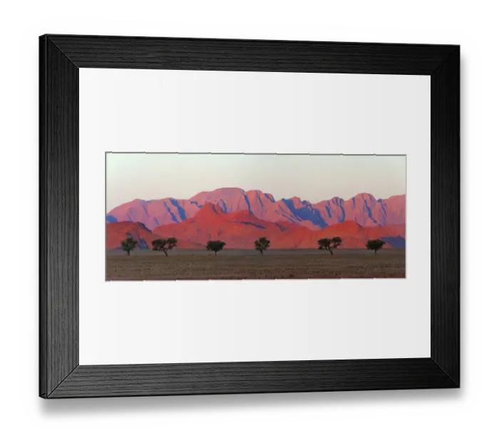 Framed Print : Tree with mountain in southern Namib Desert, Sesriem. Hardap Region, Namibia Framed Print : Tree with mountain in southern Namib Desert, Sesriem. Hardap Region, Namibia