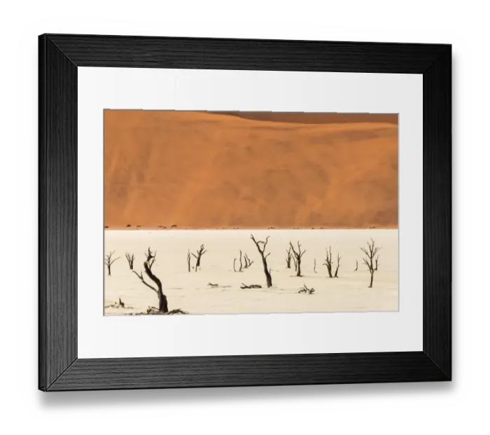 Framed Print : Dead acacia trees in Deadvlei, Sossusvlei, Namib-Naukluft National Park, southern Narim Desert Framed Print : Dead acacia trees in Deadvlei, Sossusvlei, Namib-Naukluft National Park, southern Narim Desert