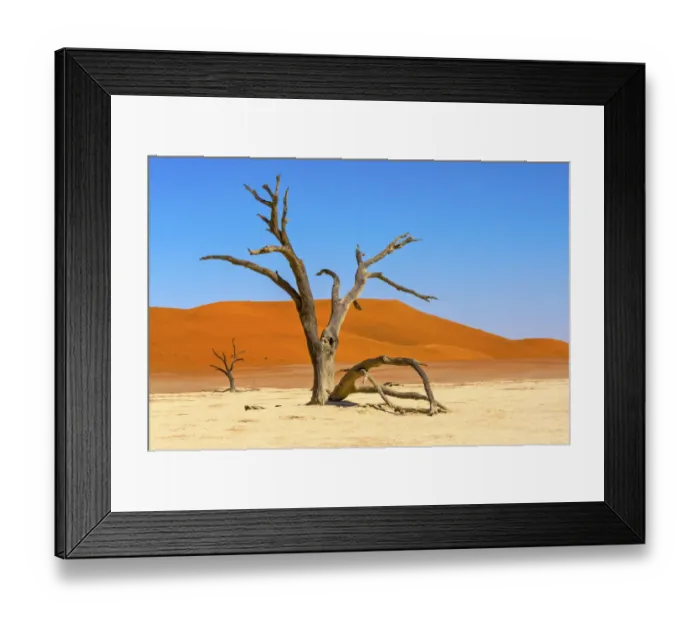 Framed Print : Dead acacia trees in Deadvlei, Sossusvlei, Namib-Naukluft National Park, southern Narim Desert Framed Print : Dead acacia trees in Deadvlei, Sossusvlei, Namib-Naukluft National Park, southern Narim Desert