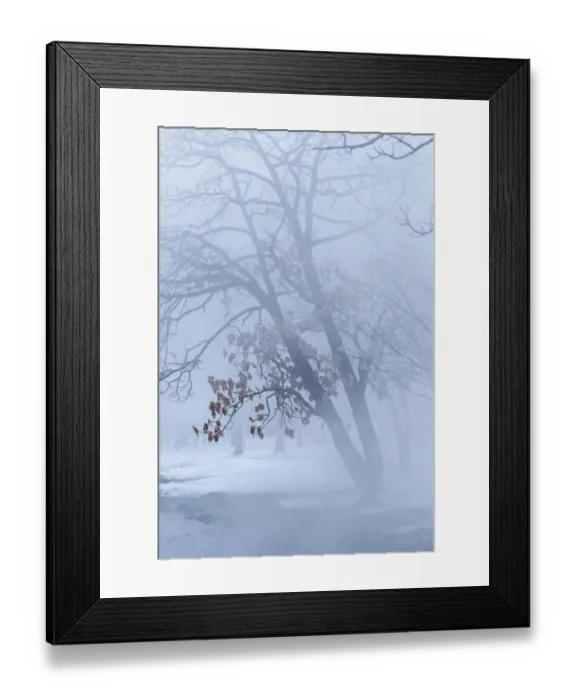 Framed Print : Trees along frozen Lake Kussharo. Winter snow with mist rising