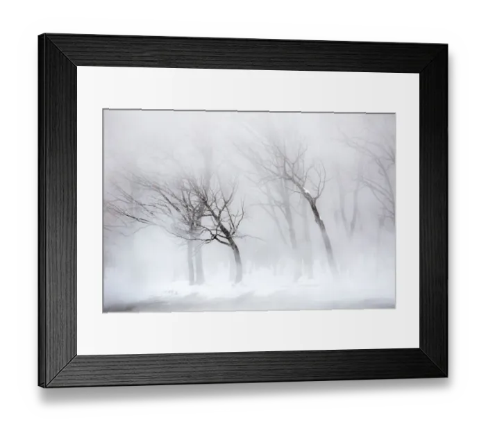 Framed Print : Trees along frozen Lake Kussharo. Winter snow with mist rising Framed Print : Trees along frozen Lake Kussharo. Winter snow with mist rising