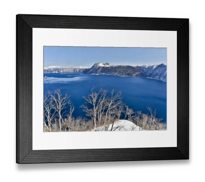 Framed Print : Birch trees along the shoreline of Lake Mashu, Hokkaido, Japan Framed Print : Birch trees along the shoreline of Lake Mashu, Hokkaido, Japan