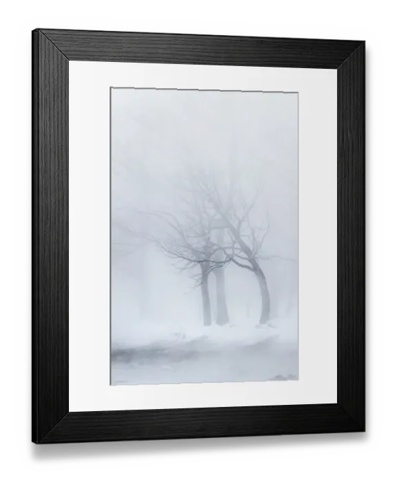 Framed Print : Trees along frozen Lake Kussharo. Winter snow with mist rising Framed Print : Trees along frozen Lake Kussharo. Winter snow with mist rising