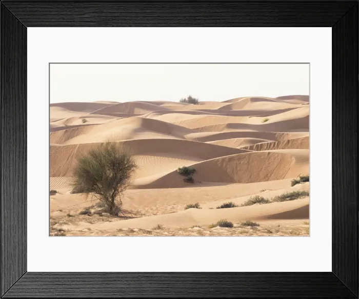 Framed Print : Desert with sand. Abu Dhabi, United Arab Emirates Framed Print : Desert with sand. Abu Dhabi, United Arab Emirates