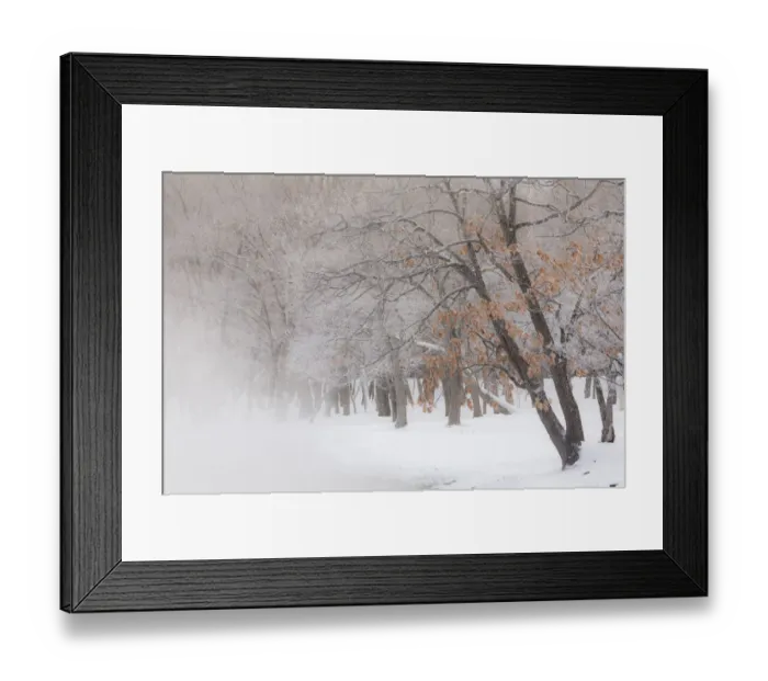 Framed Print : Trees along frozen Lake Kussharo. Winter snow with mist rising Framed Print : Trees along frozen Lake Kussharo. Winter snow with mist rising