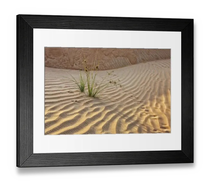 Framed Print : Desert with sand. Abu Dhabi, United Arab Emirates