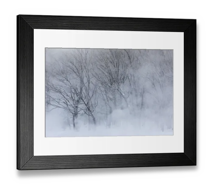 Framed Print : Trees along frozen Lake Kussharo. Winter snow with mist rising