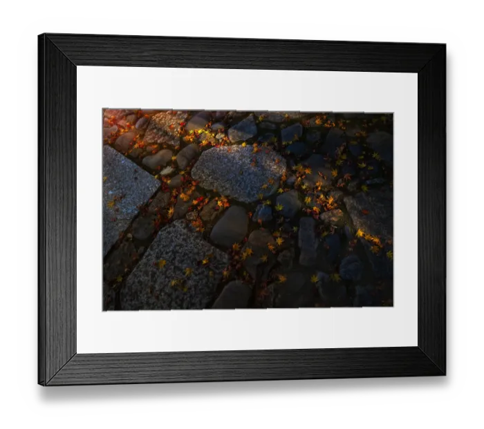 Framed Print : Rock walkway of fallen maple tree leaves