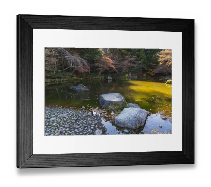 Framed Print : Rock path in the lake filled with koi fish in the Narita Temple Gardens Framed Print : Rock path in the lake filled with koi fish in the Narita Temple Gardens