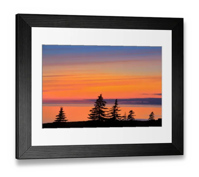 Framed Print : Canada, Prince Edward Island, West Cape. Trees silhouetted by water at dusk. Credit as Framed Print : Canada, Prince Edward Island, West Cape. Trees silhouetted by water at dusk. Credit as