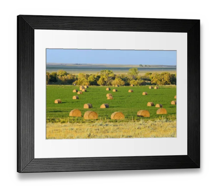 Framed Print : Canada, Saskatchewan, Maple Creek. Bales at sunset, Saskatchewan, Canada. Credit as