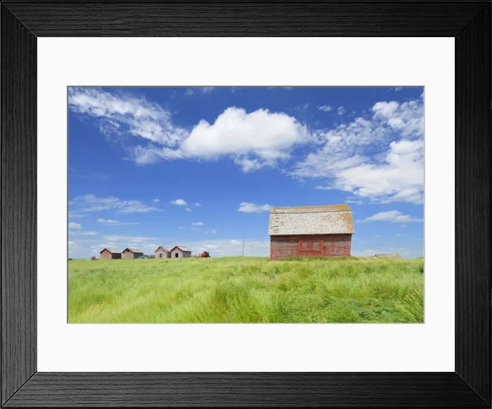 Framed Print : Canada, Saskatchewan, Hazenmore. Wooden granaries Framed Print : Canada, Saskatchewan, Hazenmore. Wooden granaries