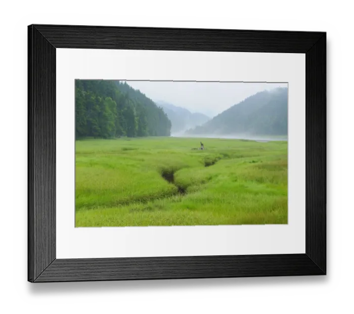 Framed Print : Canada, New Brunswick, Fundy National Park Framed Print : Canada, New Brunswick, Fundy National Park