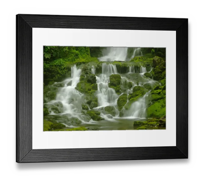 Framed Print : Canada, New Brunswick, Fundy National Park
