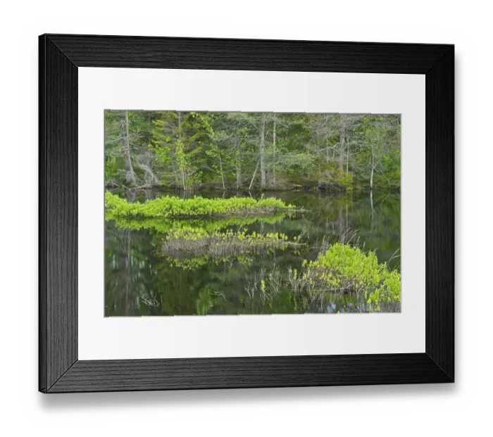Framed Print : Canada, New Brunswick, Kouchibouguac National Park