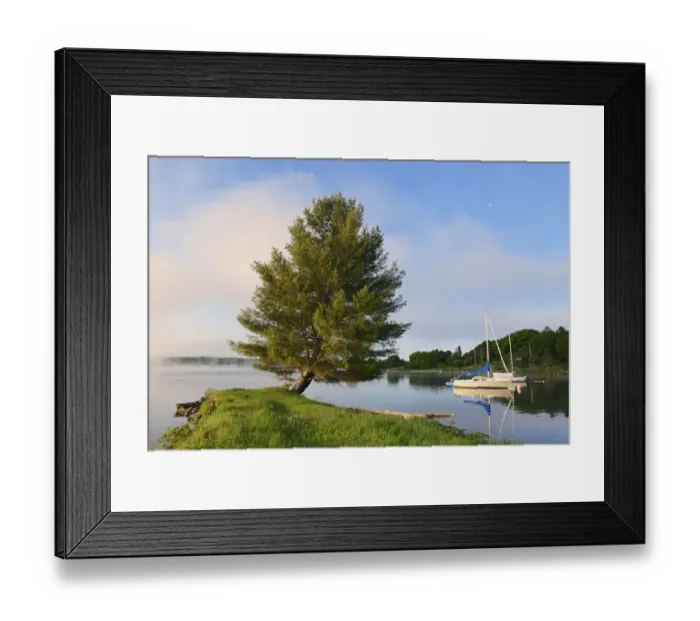Framed Print : Canada, New Brunswick, Mactaquac. Boat and white pine Framed Print : Canada, New Brunswick, Mactaquac. Boat and white pine