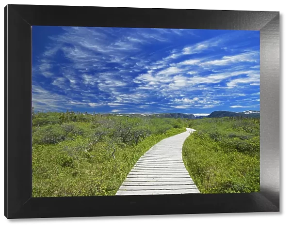 Canada, Newfoundland, Gros Morne National Park. Boardwalk at Western Brook Pond. Credit as