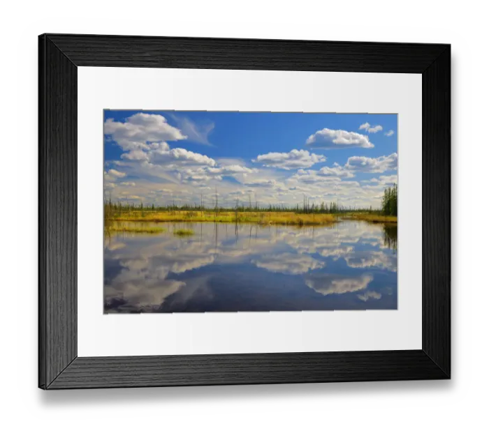 Framed Print : Canada, Northwest Territories, Wood Buffalo National Park. Salt Plain and pond landscape Framed Print : Canada, Northwest Territories, Wood Buffalo National Park. Salt Plain and pond landscape