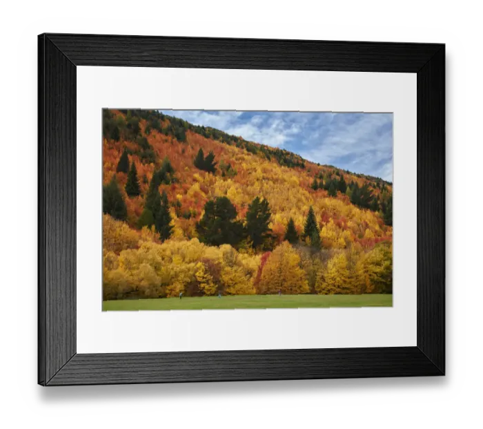 Framed Print : Autumn trees and Wilcox Green, Arrowtown, near Queenstown, Otago, South Island, New Framed Print : Autumn trees and Wilcox Green, Arrowtown, near Queenstown, Otago, South Island, New