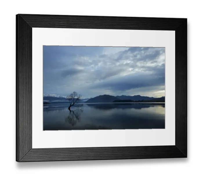 Framed Print : Clouds and That Wanaka Tree reflected in Lake Wanaka, Otago, South Island Framed Print : Clouds and That Wanaka Tree reflected in Lake Wanaka, Otago, South Island