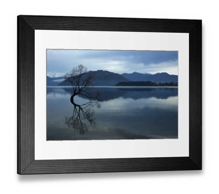 Framed Print : Clouds and That Wanaka Tree reflected in Lake Wanaka, Otago, South Island Framed Print : Clouds and That Wanaka Tree reflected in Lake Wanaka, Otago, South Island