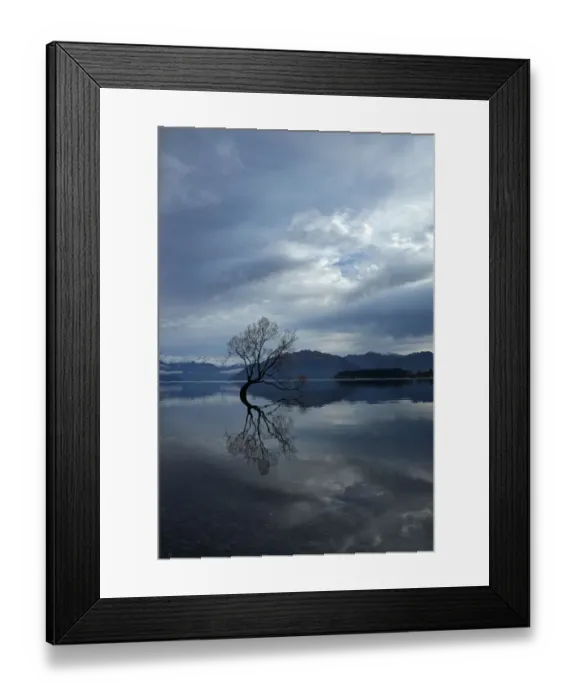 Framed Print : Clouds and That Wanaka Tree reflected in Lake Wanaka, Otago, South Island Framed Print : Clouds and That Wanaka Tree reflected in Lake Wanaka, Otago, South Island