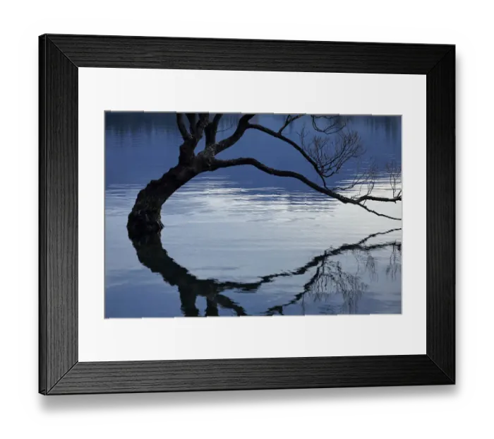 Framed Print : That Wanaka Tree reflected in Lake Wanaka, Otago, South Island, New Zealand Framed Print : That Wanaka Tree reflected in Lake Wanaka, Otago, South Island, New Zealand