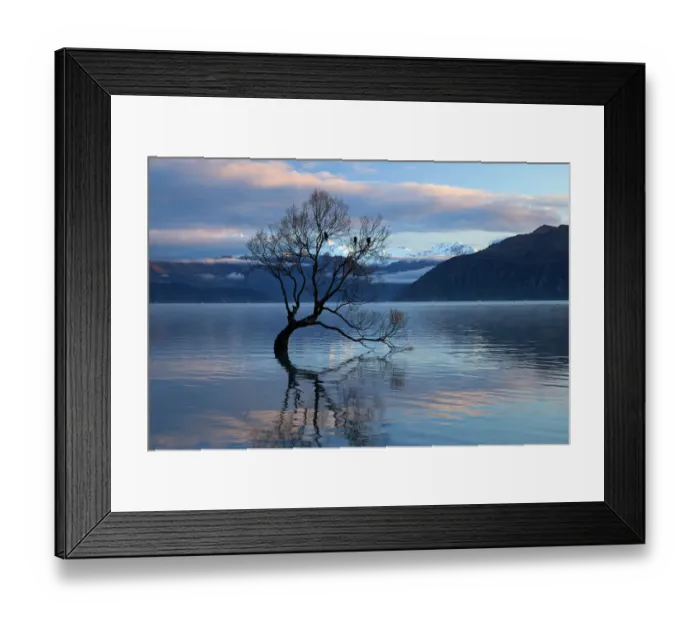 Framed Print : That Wanaka Tree reflected in Lake Wanaka, Otago, South Island, New Zealand Framed Print : That Wanaka Tree reflected in Lake Wanaka, Otago, South Island, New Zealand