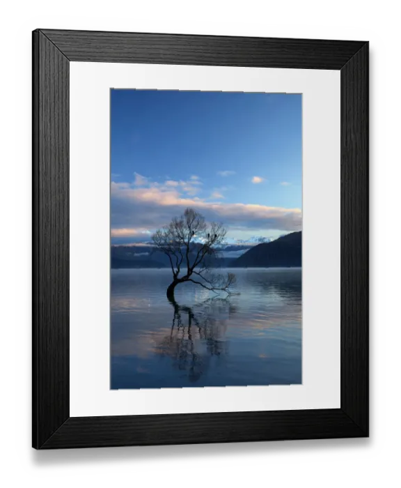 Framed Print : That Wanaka Tree reflected in Lake Wanaka, Otago, South Island, New Zealand
