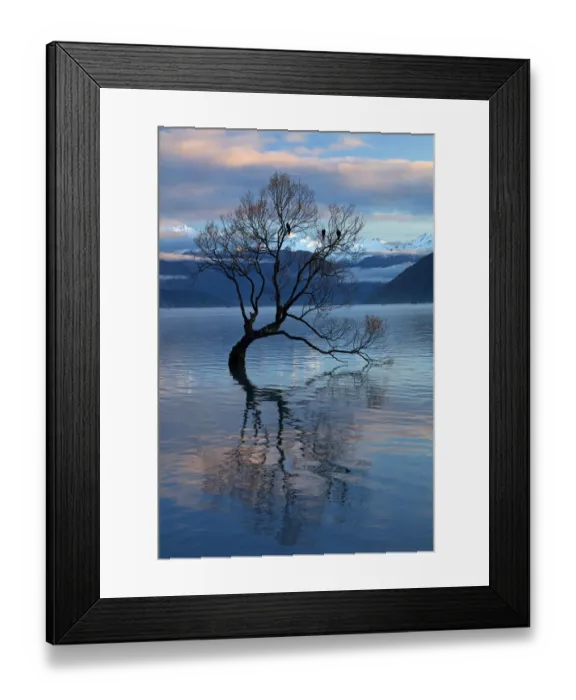Framed Print : That Wanaka Tree reflected in Lake Wanaka, Otago, South Island, New Zealand Framed Print : That Wanaka Tree reflected in Lake Wanaka, Otago, South Island, New Zealand