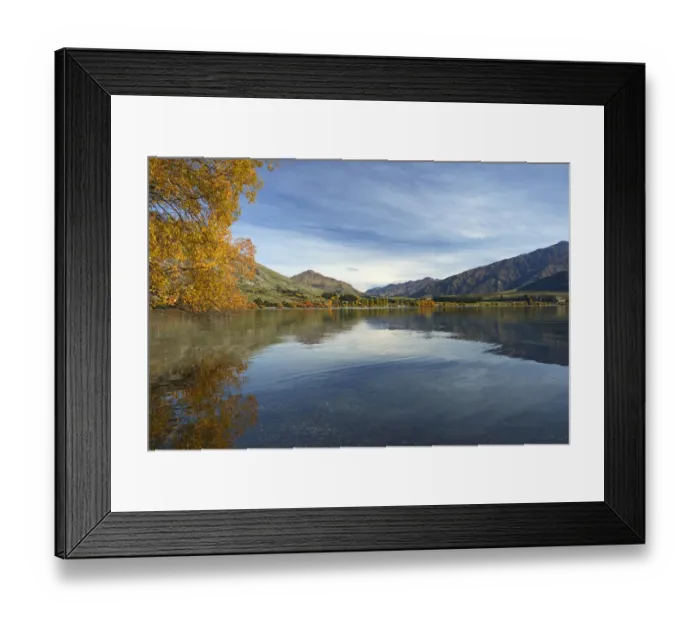 Framed Print : Glendhu Bay, Lake Wanaka, Otago, South Island, New Zealand