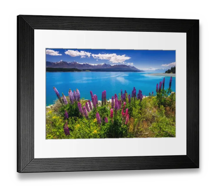 Framed Print : Wildflowers at Lake Pukaki in the Southern Alps, Canterbury, South Island, New Zealand