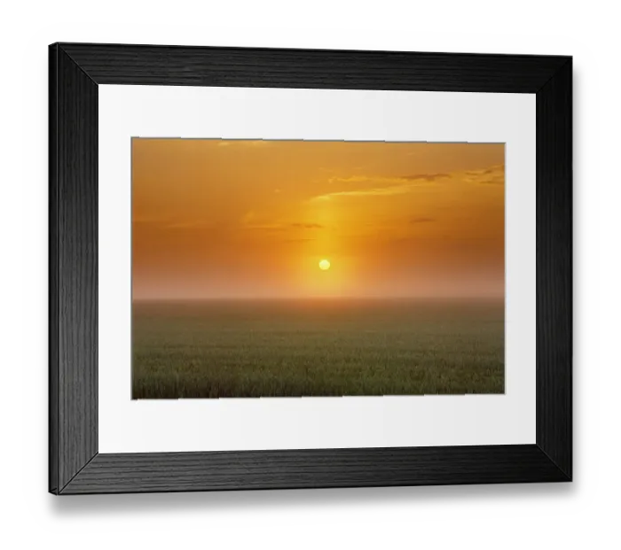 Framed Print : Canada, Manitoba. Sunrise on wheat field in fog