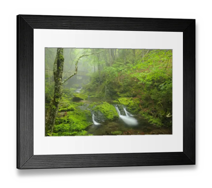 Framed Print : Canada, New Brunswick, Fundy National Park. Bridge over Dickson Creek. Credit as Framed Print : Canada, New Brunswick, Fundy National Park. Bridge over Dickson Creek. Credit as