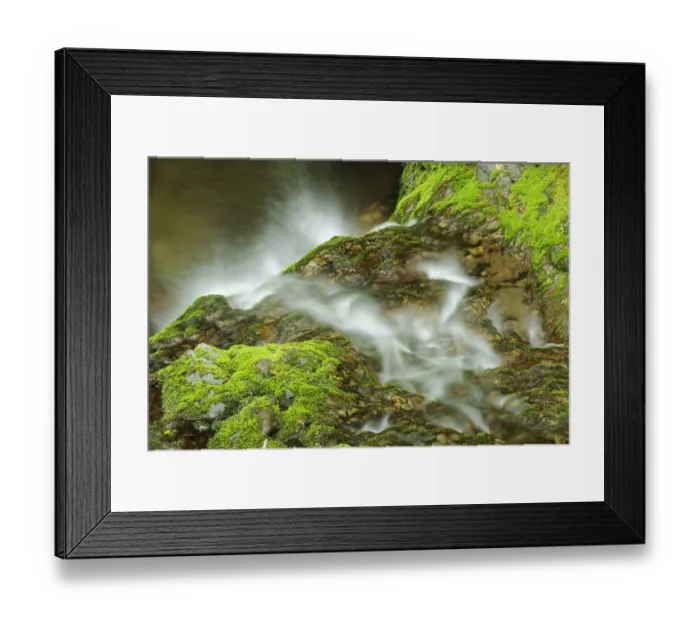 Framed Print : Canada, New Brunswick, Fundy National Park