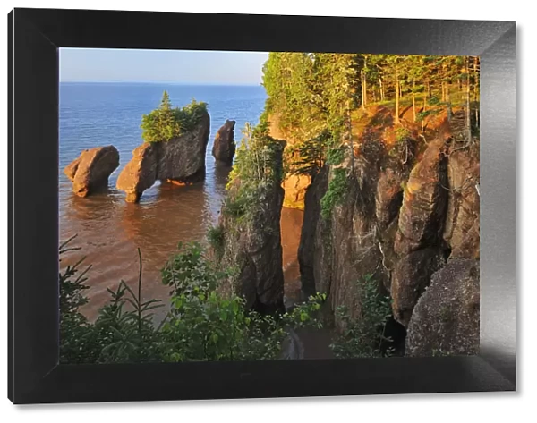Canada, New Brunswick, The Rocks Provincial Park. Cape Hopewell rocks at sunrise at low tide