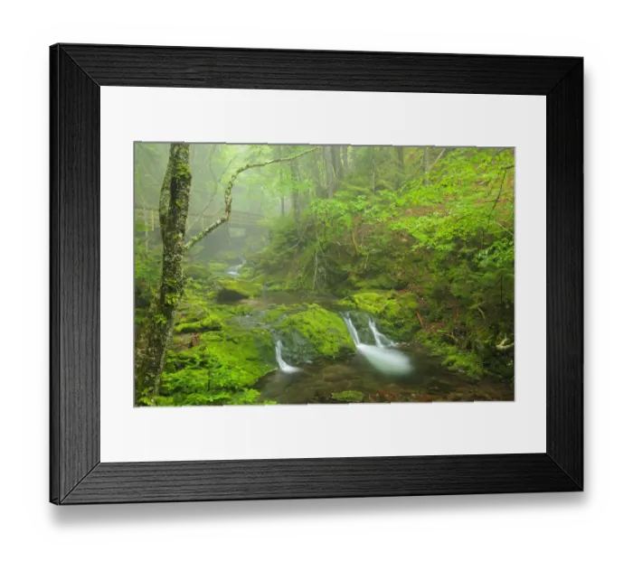 Framed Print : Canada, New Brunswick, Fundy National Park. Bridge over Dickson Creek. Credit as Framed Print : Canada, New Brunswick, Fundy National Park. Bridge over Dickson Creek. Credit as