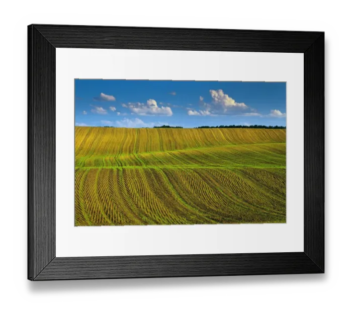 Framed Print : Canada, Manitoba, Treherne. Crop patterns in spring Framed Print : Canada, Manitoba, Treherne. Crop patterns in spring