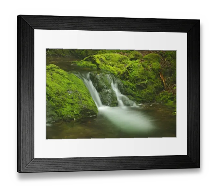 Framed Print : Canada, New Brunswick, Fundy National Park