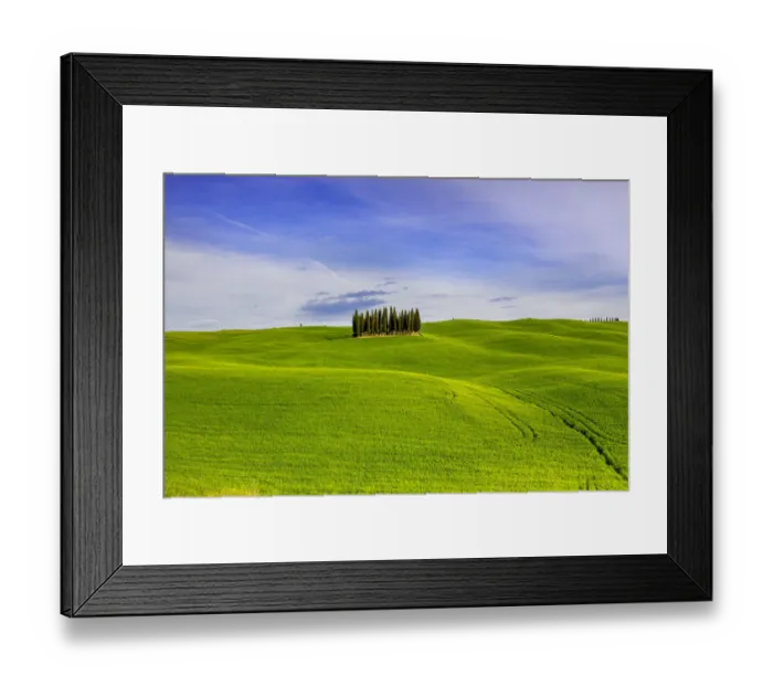 Framed Print : Italy, Tuscany, Val d Orcia. Famous cypress grove Framed Print : Italy, Tuscany, Val d Orcia. Famous cypress grove